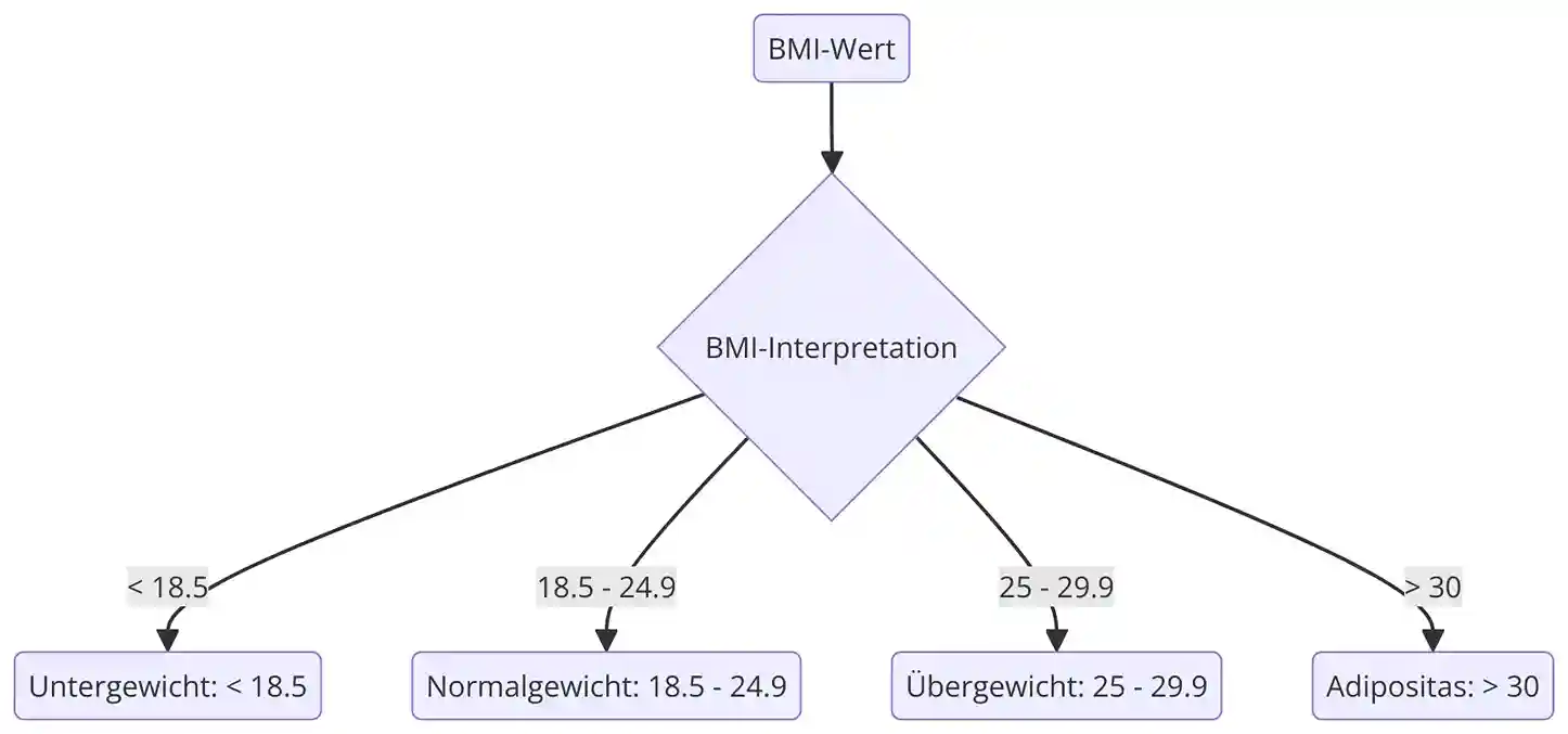 BMI Rechner Interpretation